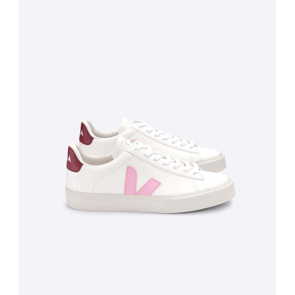Veja CAMPO CHROMEFREE Men\'s Low Tops Sneakers White/Pink | NZ 193WNB